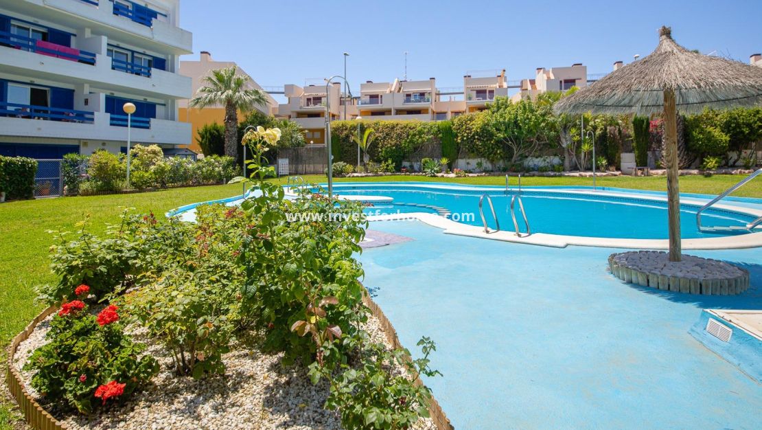 Reventa - Apartamento - Orihuela Costa