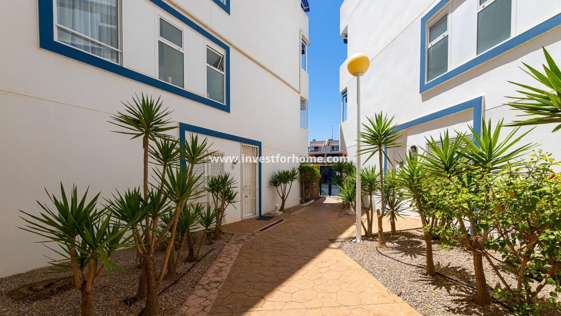 Reventa - Apartamento - Orihuela Costa