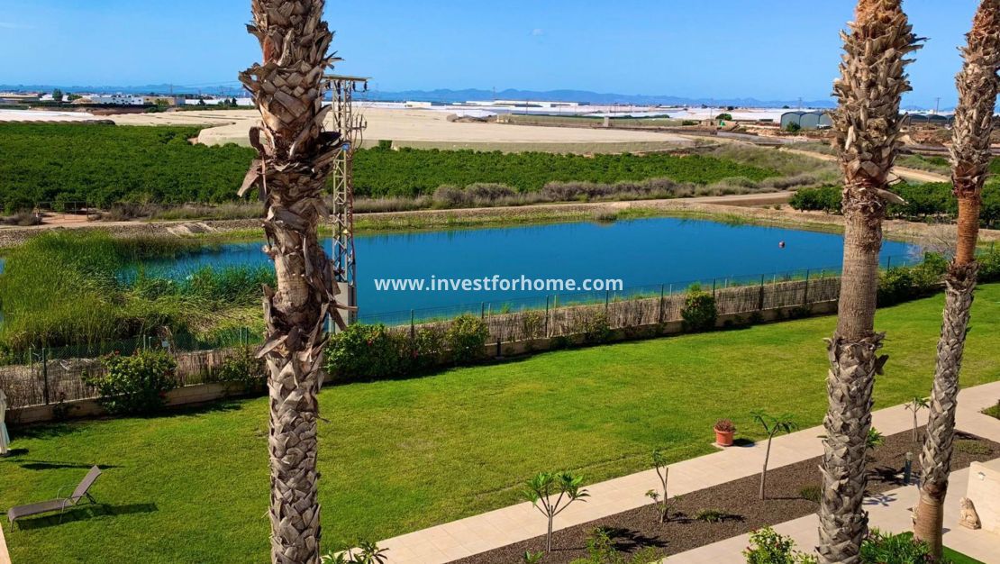 Reventa - Apartamento - Pilar de la Horadada - Costa Blanca