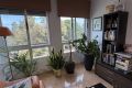 Reventa - Apartamento - Pilar de la Horadada - Costa Blanca