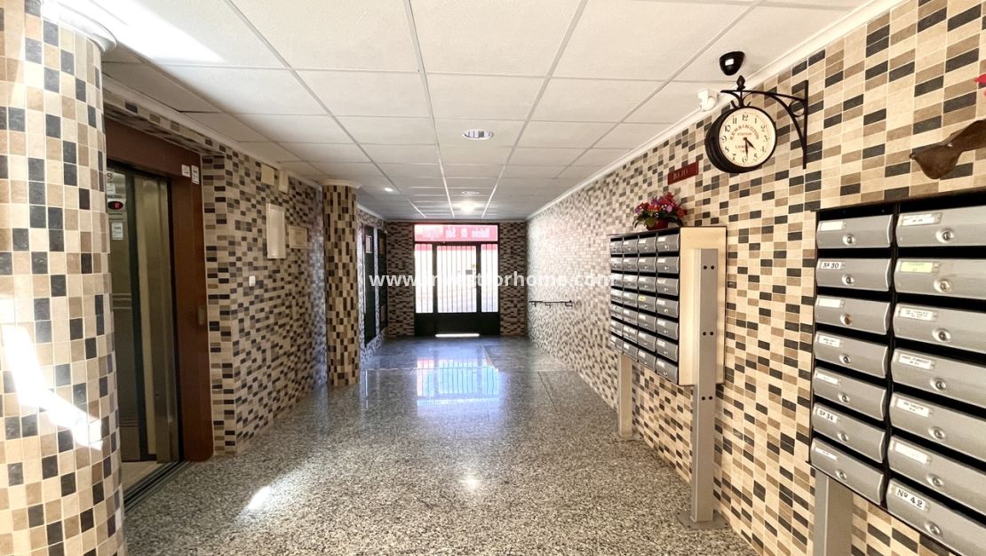 Reventa - Apartamento - San Miguel de Salinas - Inland