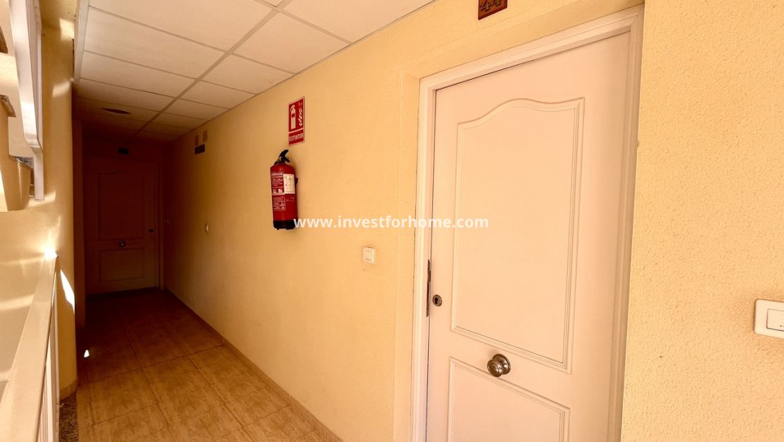 Reventa - Apartamento - San Miguel de Salinas - Inland
