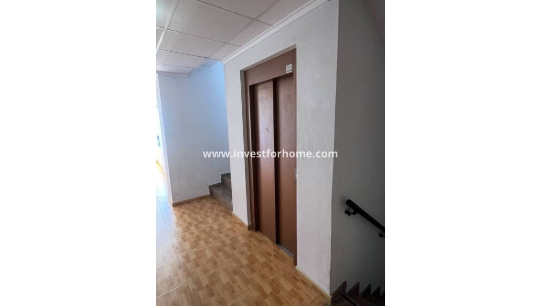 Reventa - Apartamento - San Miguel de Salinas - Inland