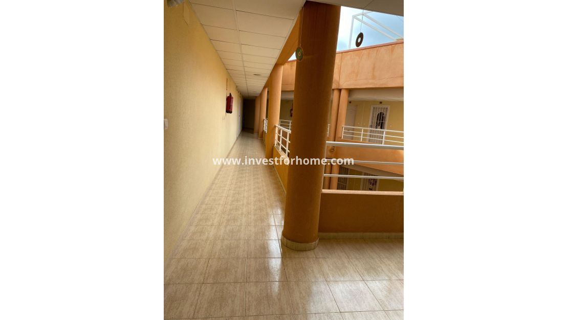Reventa - Apartamento - San Miguel de Salinas - Pueblo 9