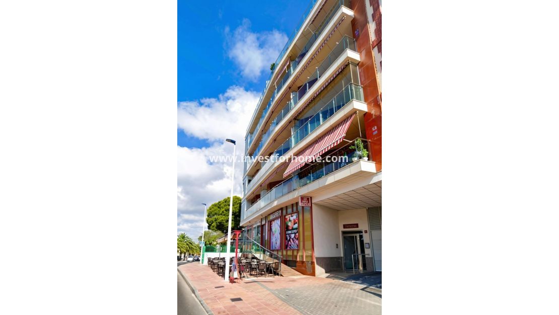 Reventa - Apartamento - San Pedro del Pinatar - Villananitos