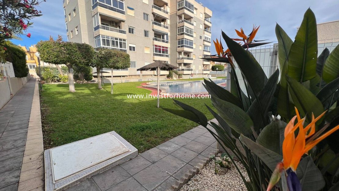 Reventa - Apartamento - Torrevieja - aguas nuevas
