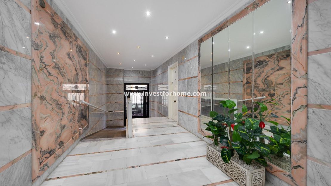 Reventa - Apartamento - Torrevieja - Antonio Machado