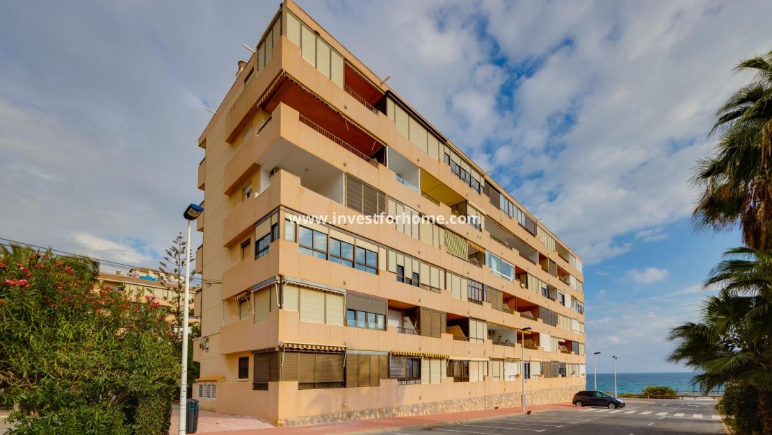 Reventa - Apartamento - Torrevieja - Cabo Cervera