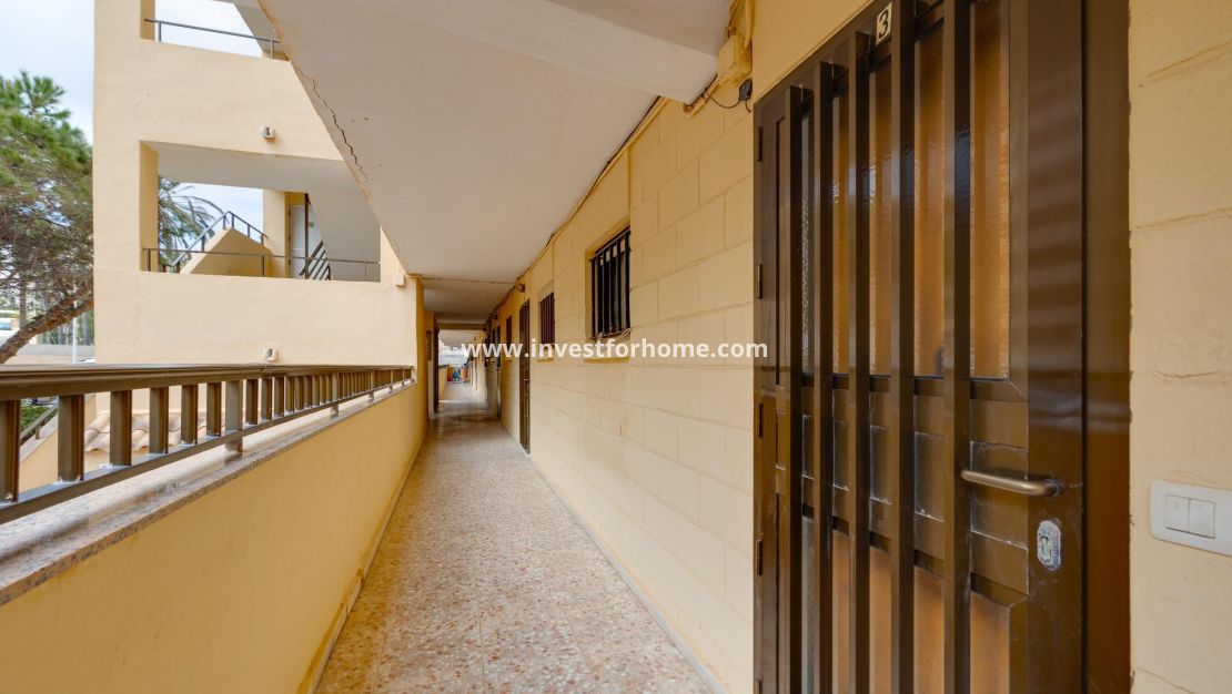 Reventa - Apartamento - Torrevieja - Cabo Cervera