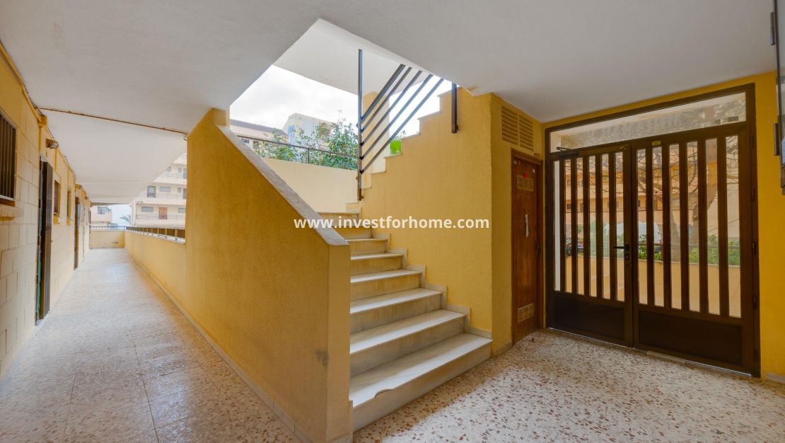 Reventa - Apartamento - Torrevieja - Cabo Cervera