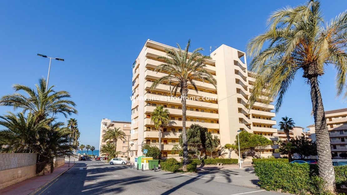 Reventa - Apartamento - Torrevieja - Cabo Cervera