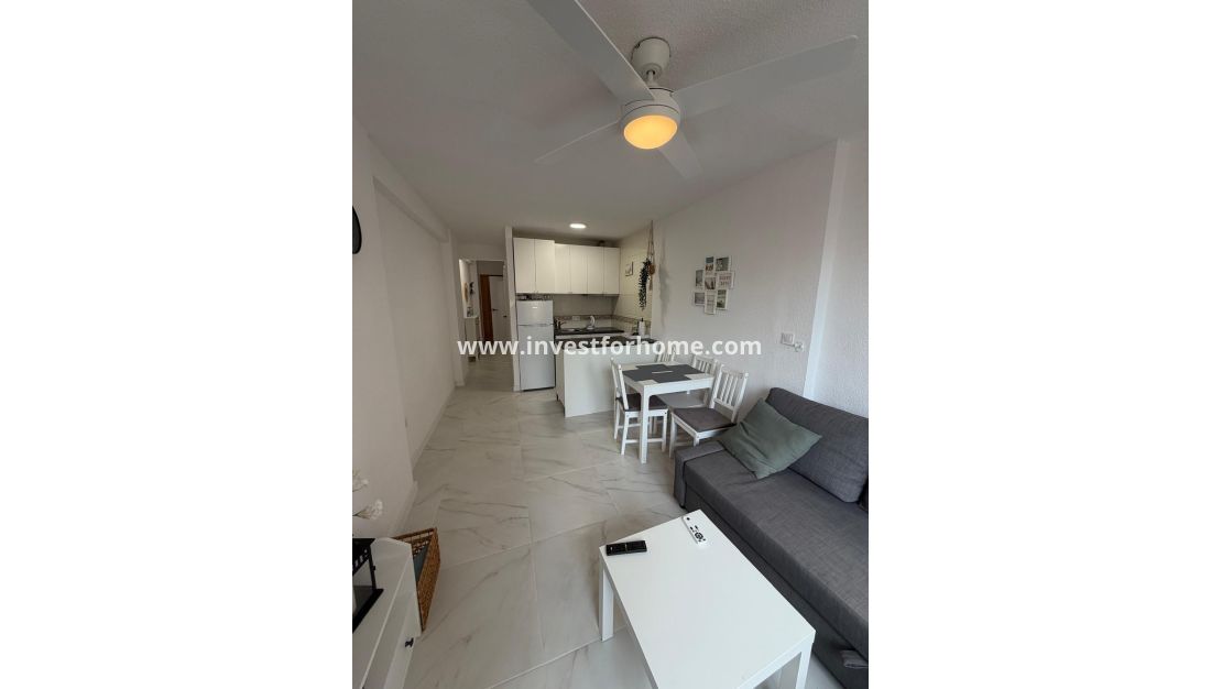 Reventa - Apartamento - Torrevieja - Cabo Cervera