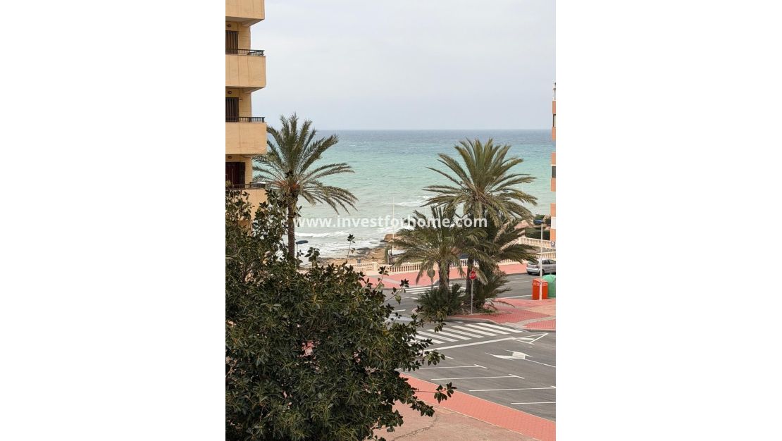 Reventa - Apartamento - Torrevieja - Cabo Cervera