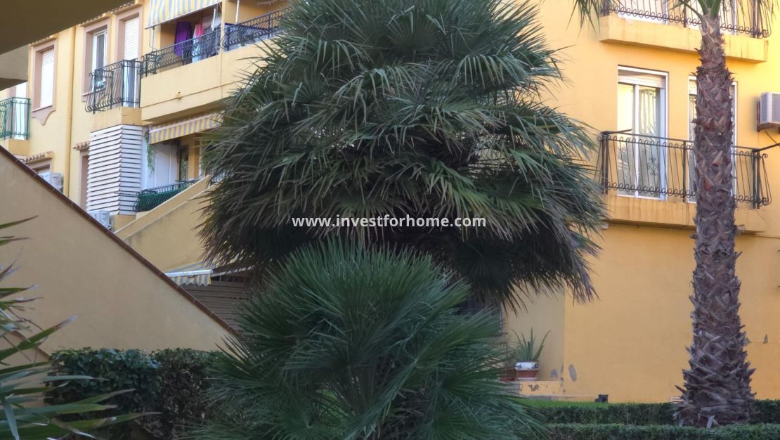 Reventa - Apartamento - Torrevieja - Cala Ferris