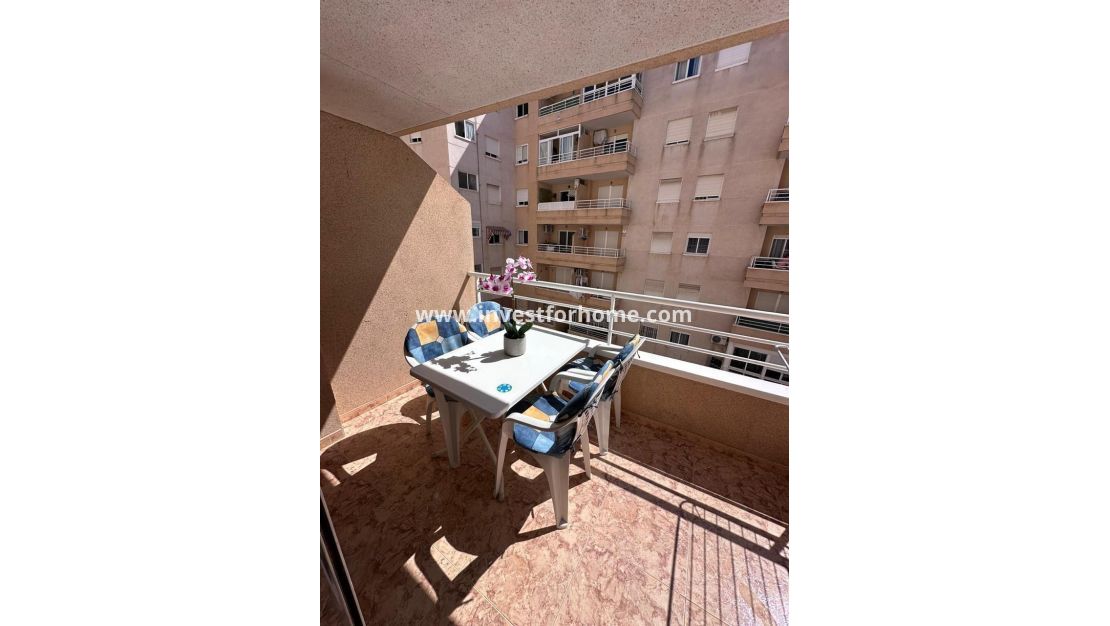 Reventa - Apartamento - Torrevieja - Centro - Muelle Pesquero