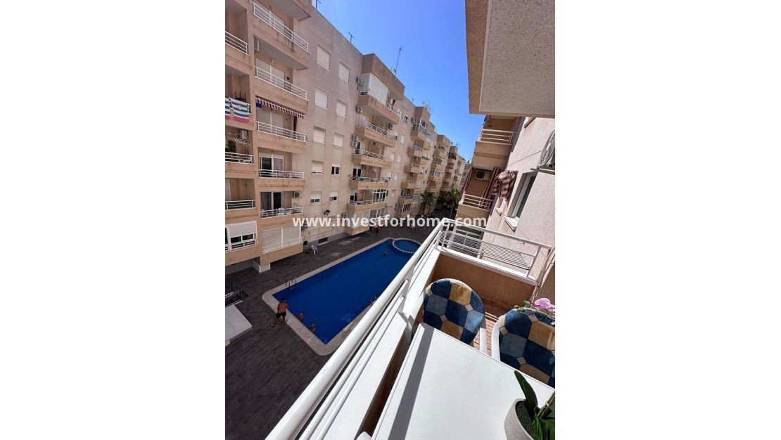 Reventa - Apartamento - Torrevieja - Centro - Muelle Pesquero