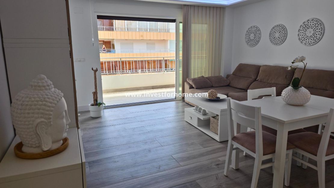 Reventa - Apartamento - Torrevieja - Centro