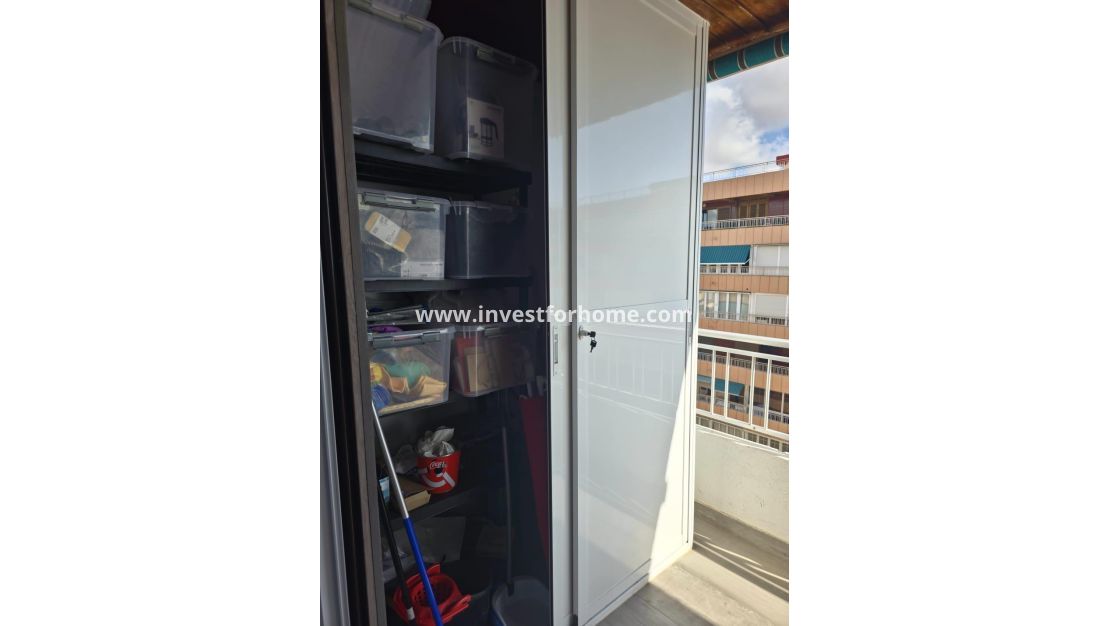 Reventa - Apartamento - Torrevieja - Centro