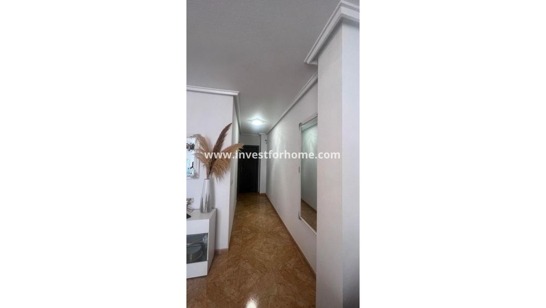 Reventa - Apartamento - Torrevieja - Centro