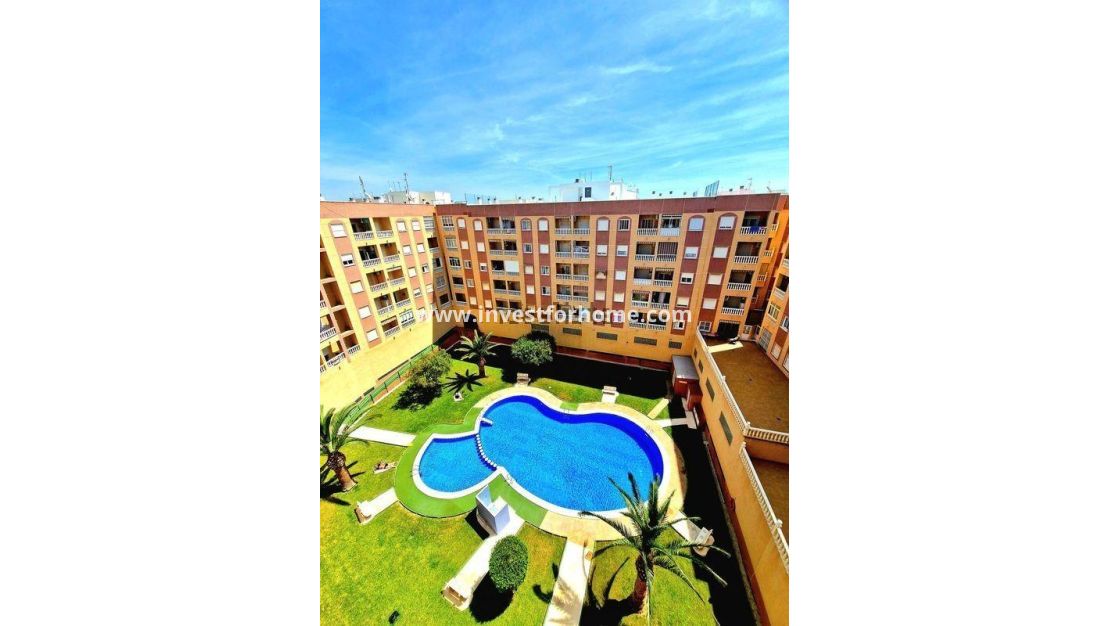 Reventa - Apartamento - Torrevieja - Centro