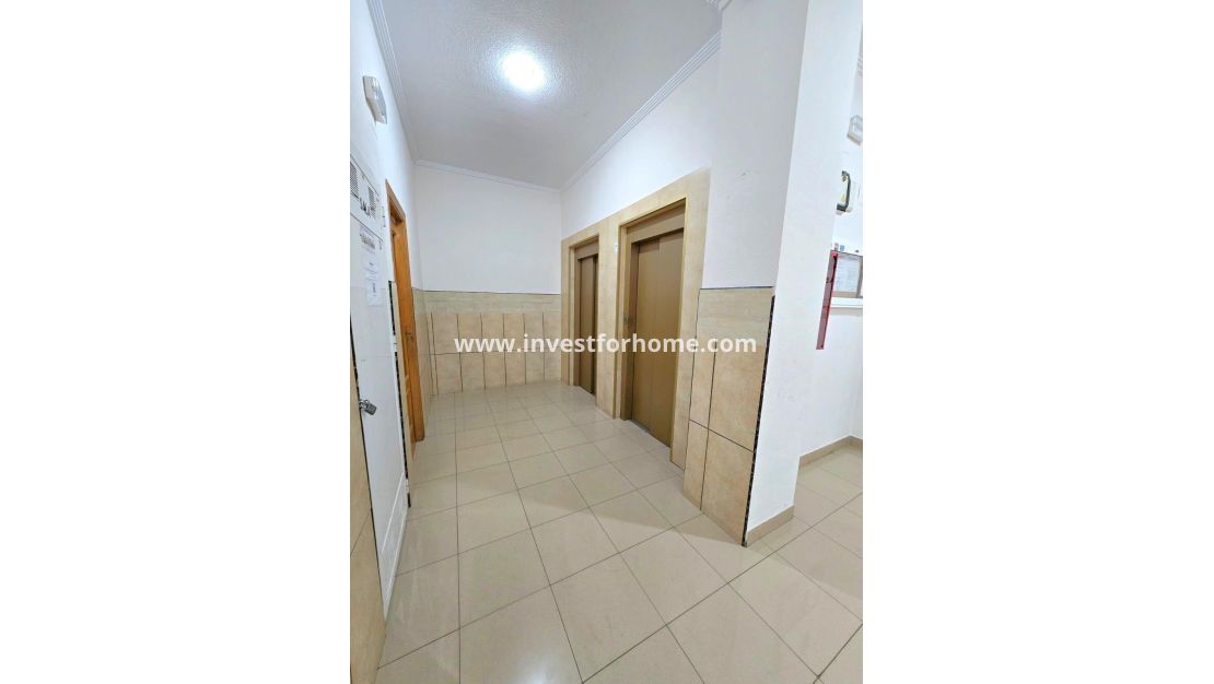 Reventa - Apartamento - Torrevieja - Centro