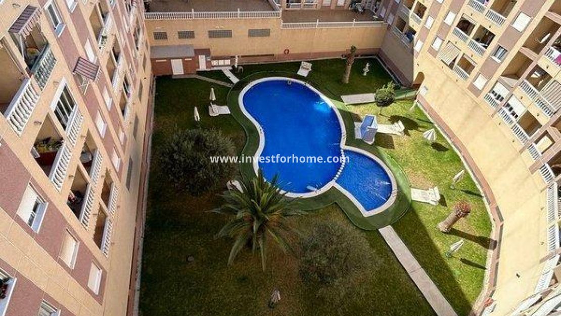 Reventa - Apartamento - Torrevieja - Centro