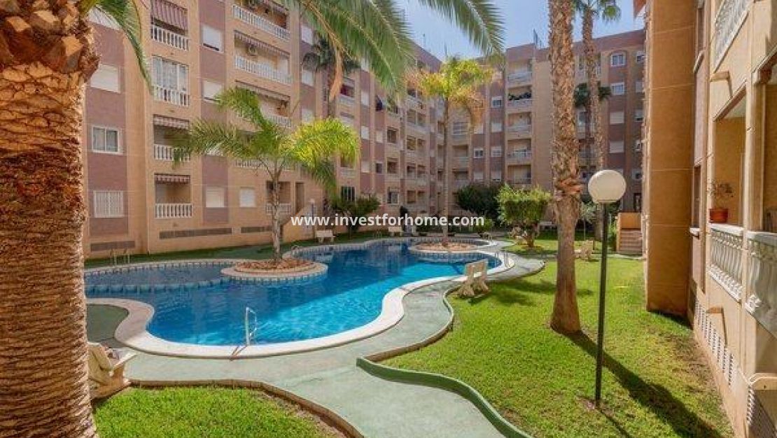 Reventa - Apartamento - Torrevieja - Centro