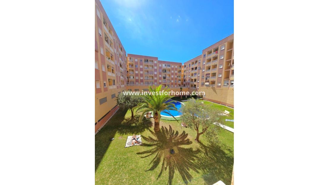 Reventa - Apartamento - Torrevieja - Centro