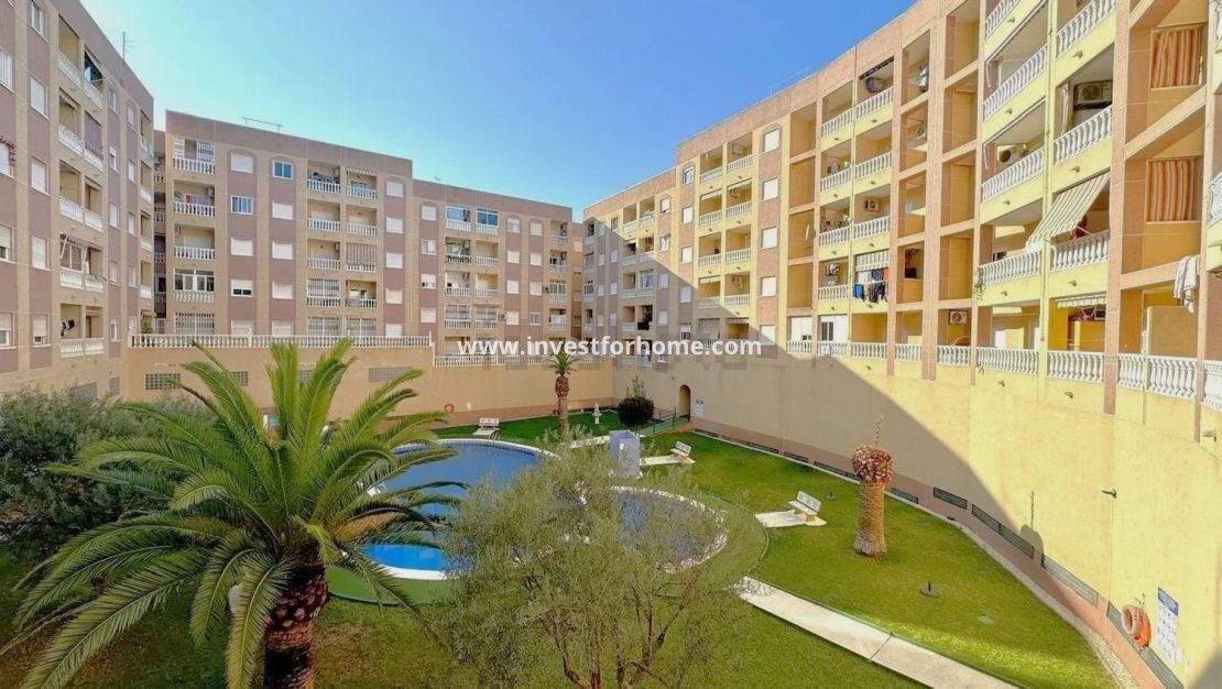 Reventa - Apartamento - Torrevieja - Centro