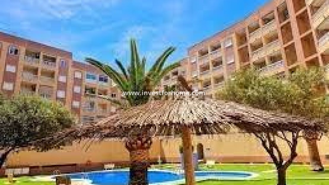 Reventa - Apartamento - Torrevieja - Centro