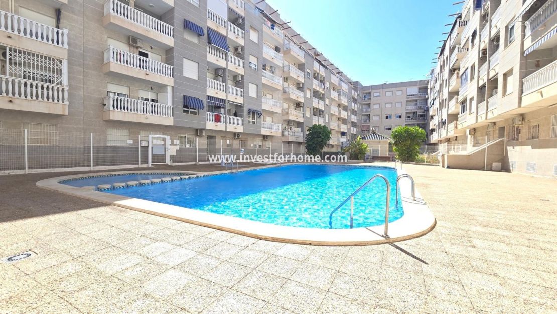 Reventa - Apartamento - Torrevieja - Centro