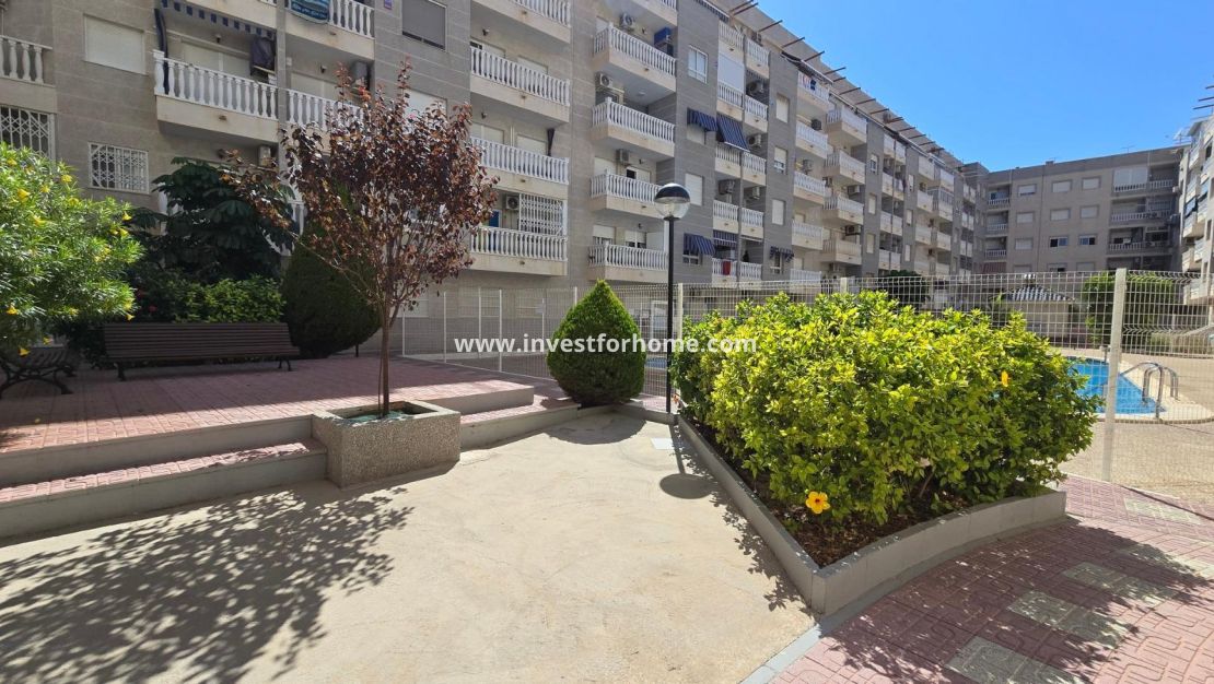 Reventa - Apartamento - Torrevieja - Centro