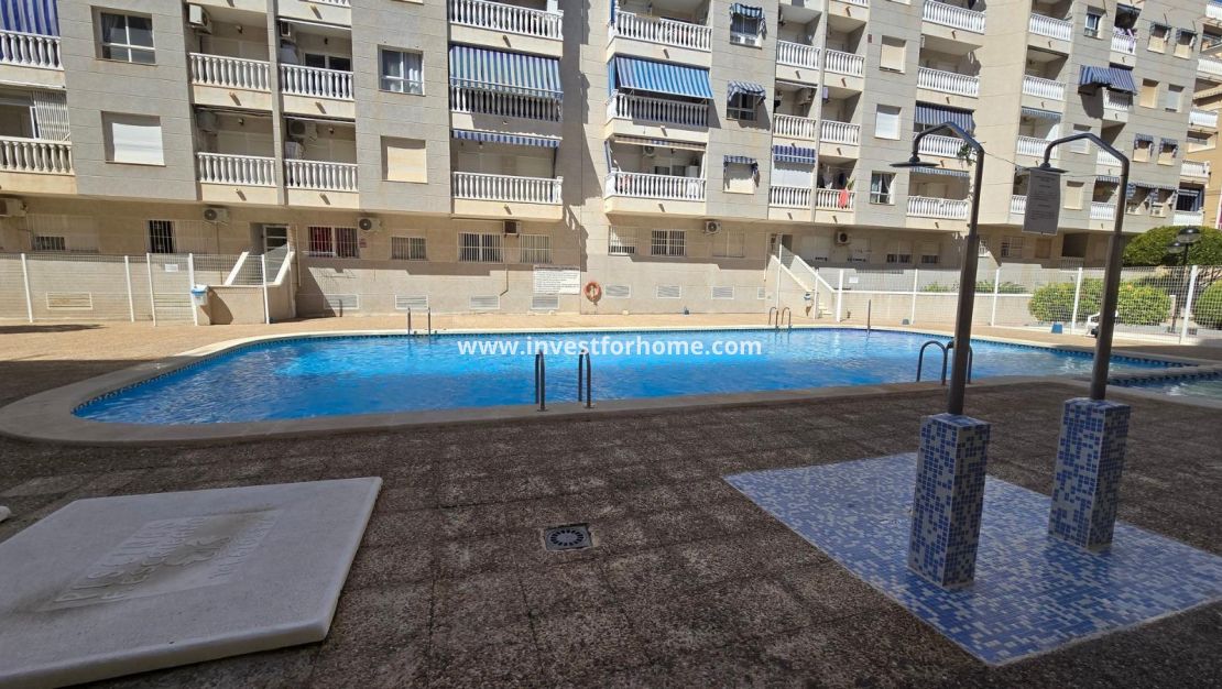 Reventa - Apartamento - Torrevieja - Centro