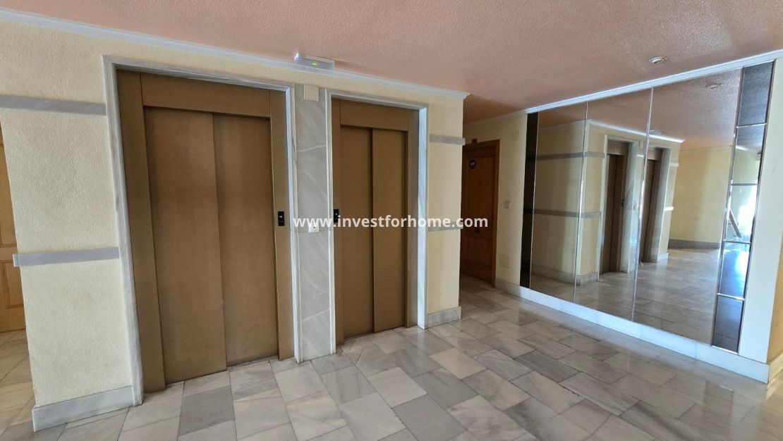 Reventa - Apartamento - Torrevieja - Centro