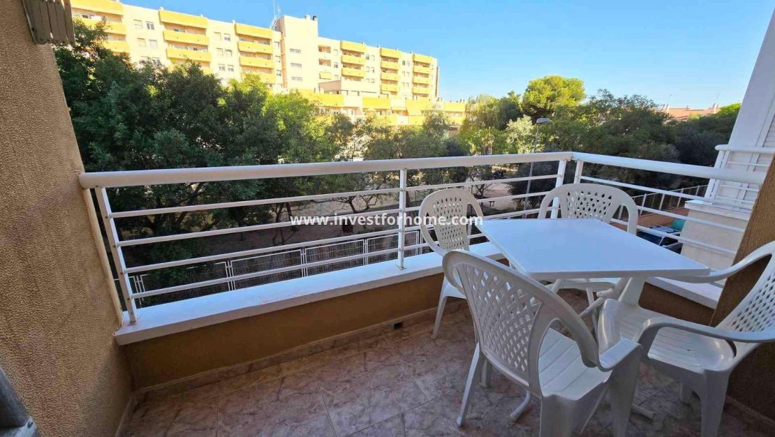 Reventa - Apartamento - Torrevieja - Centro