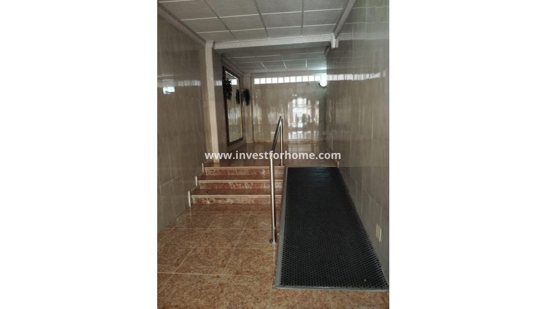 Reventa - Apartamento - Torrevieja - Centro