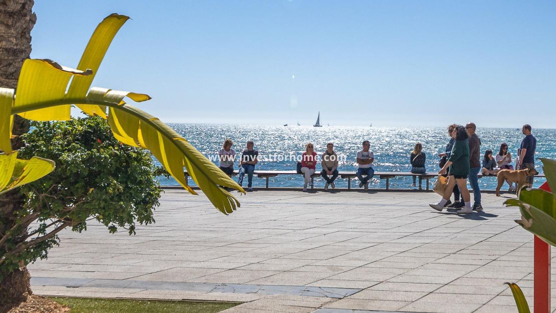 Reventa - Apartamento - Torrevieja - Centro