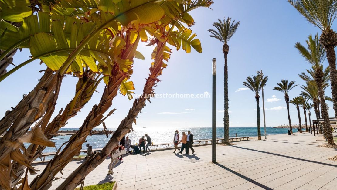 Reventa - Apartamento - Torrevieja - Centro