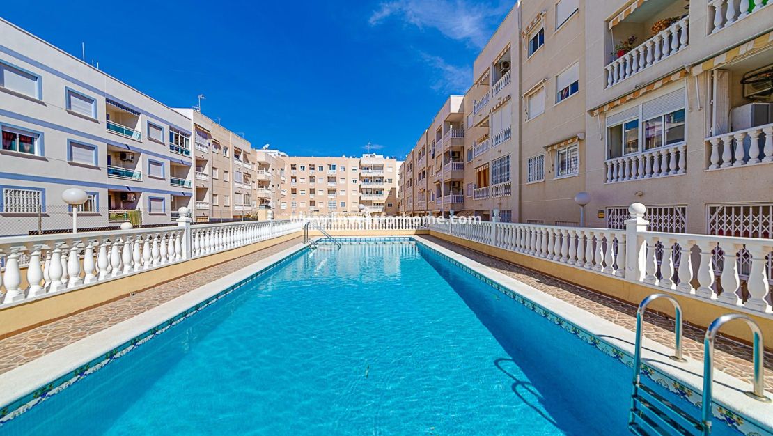 Reventa - Apartamento - Torrevieja - Centro