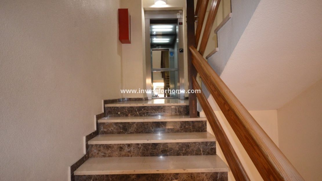 Reventa - Apartamento - Torrevieja - Centro