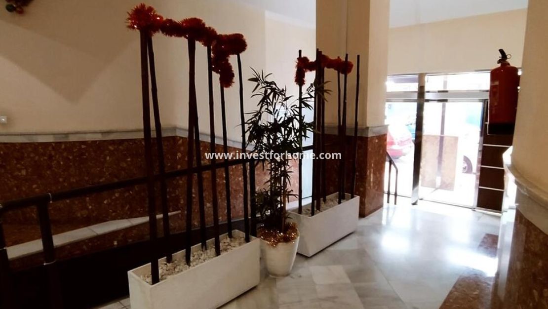 Reventa - Apartamento - Torrevieja - Centro