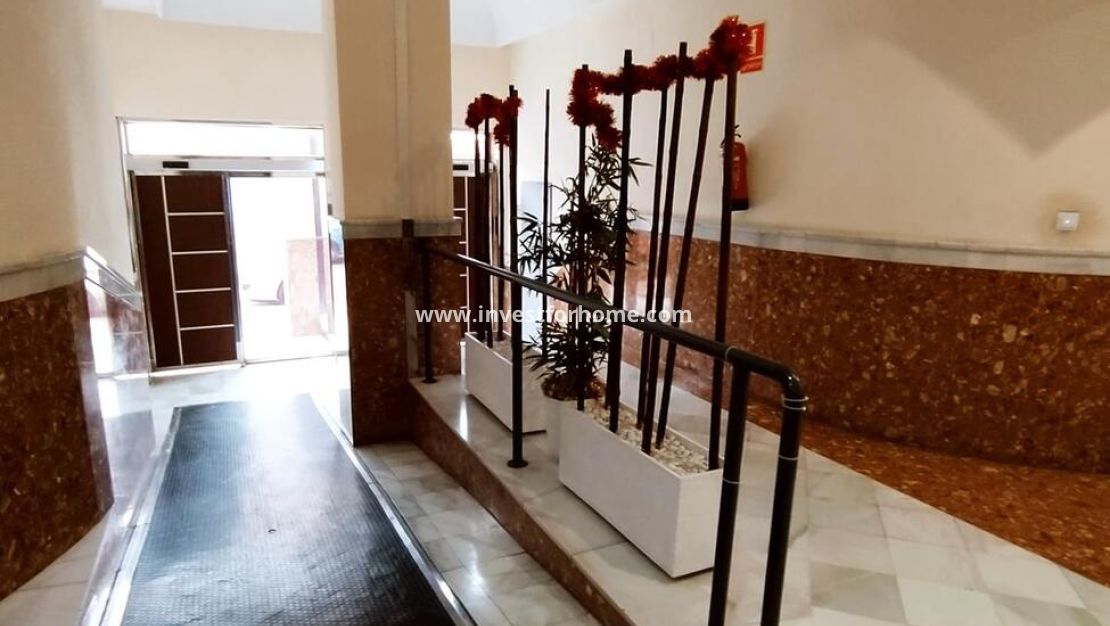 Reventa - Apartamento - Torrevieja - Centro