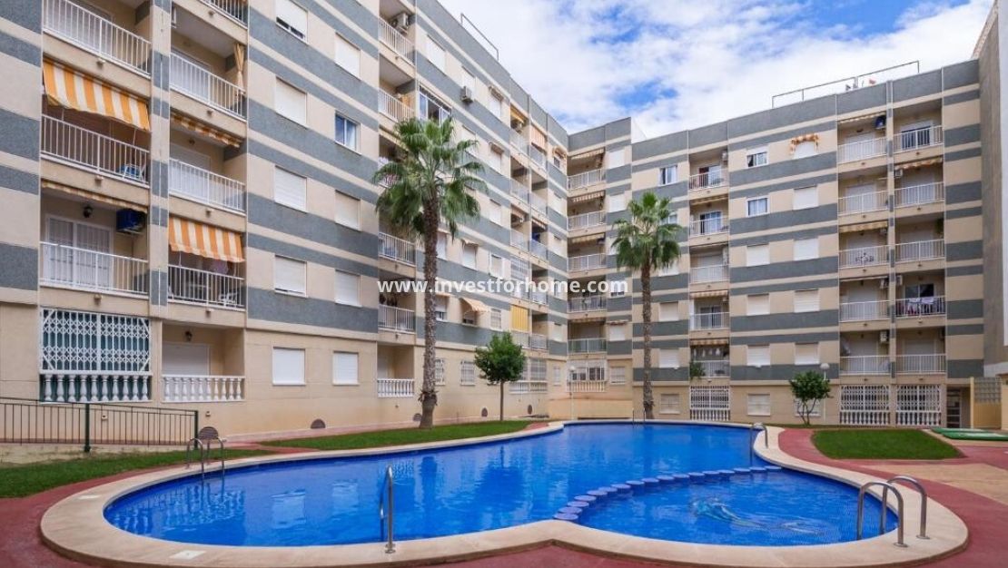 Reventa - Apartamento - Torrevieja - Centro