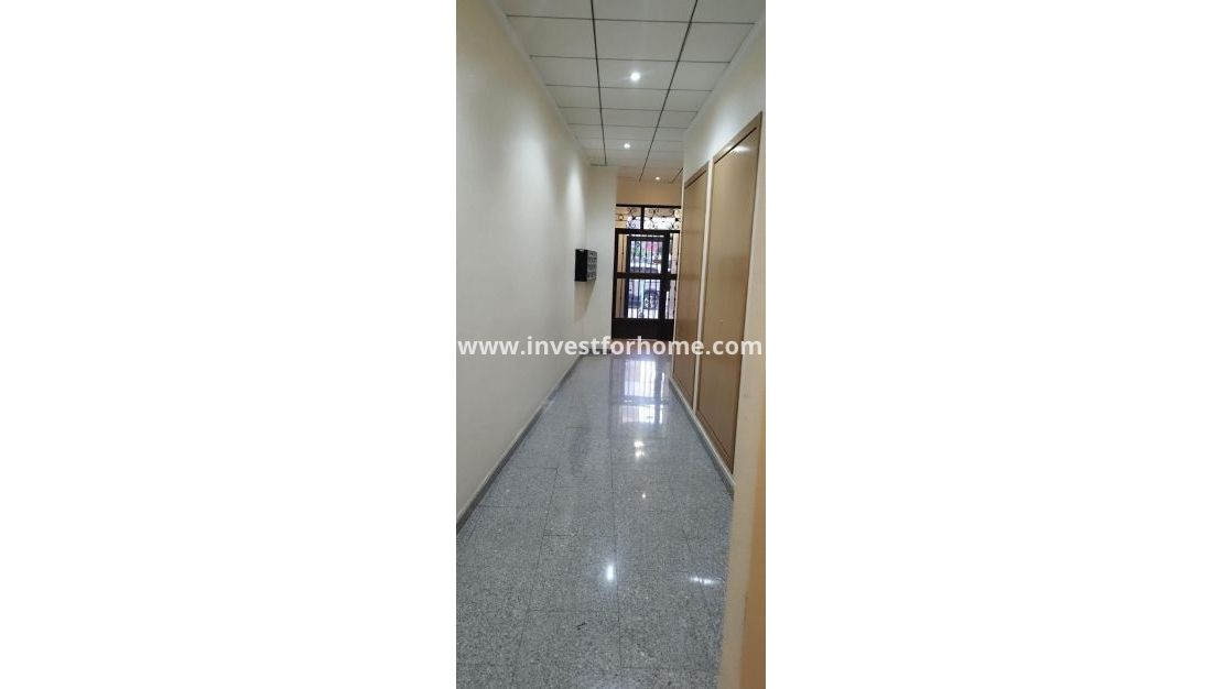 Reventa - Apartamento - Torrevieja - Centro