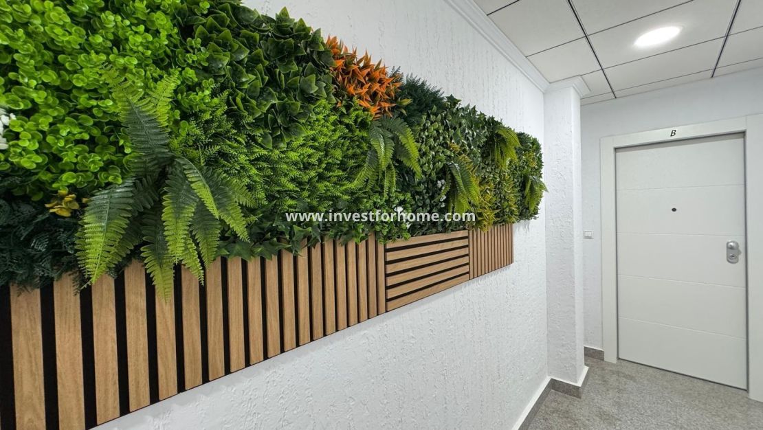 Reventa - Apartamento - Torrevieja - Centro