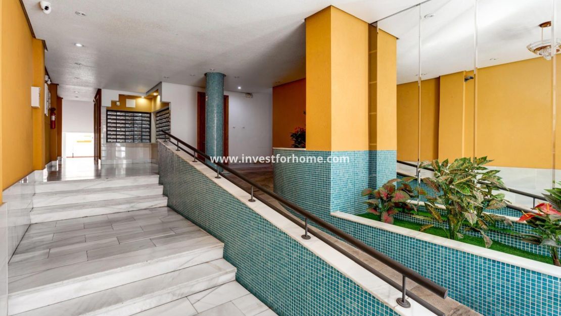 Reventa - Apartamento - Torrevieja - Centro