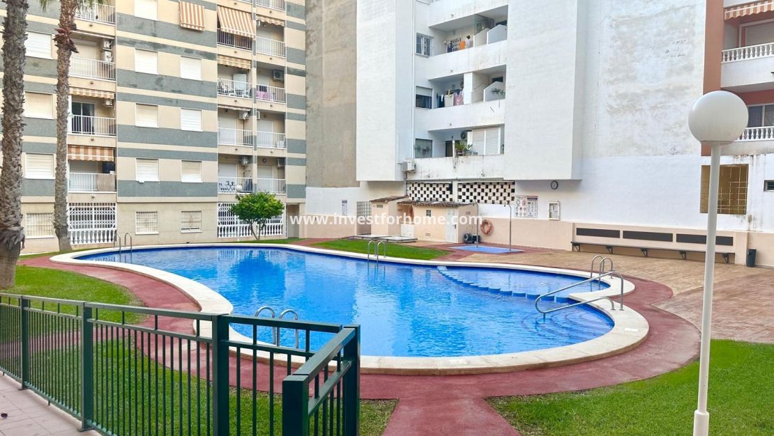 Reventa - Apartamento - Torrevieja - Centro