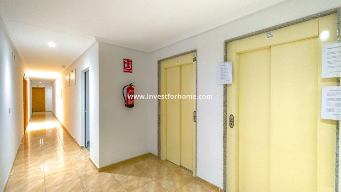 Reventa - Apartamento - Torrevieja - Centro