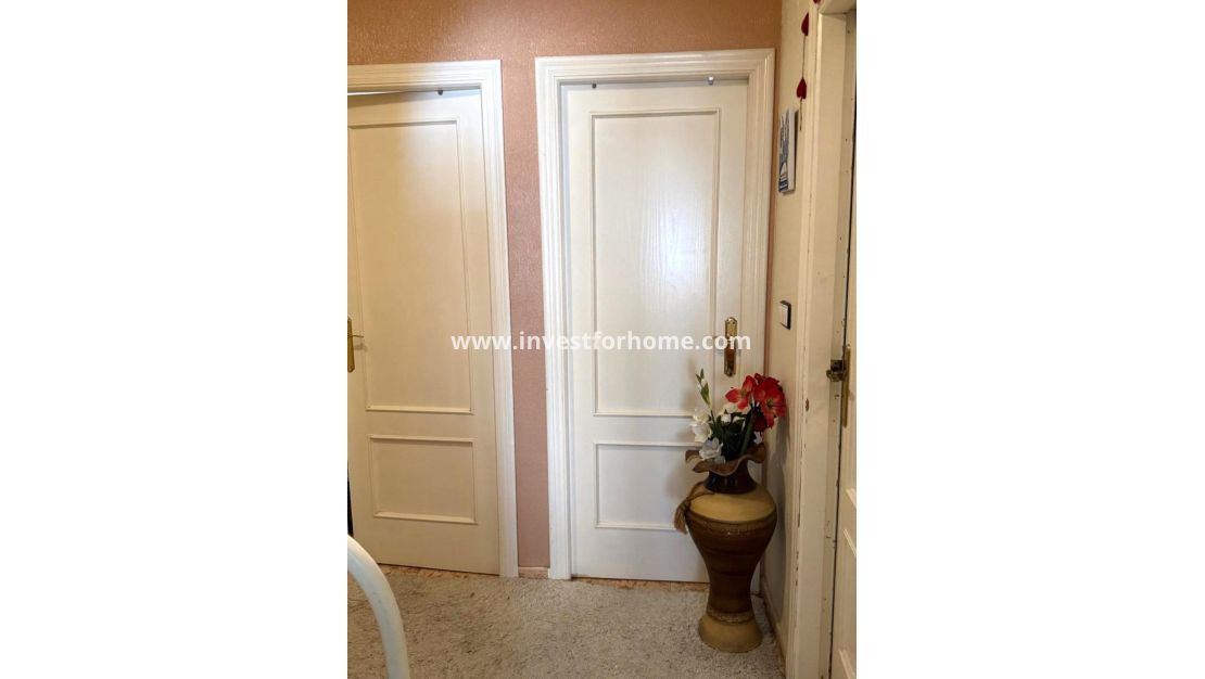 Reventa - Apartamento - Torrevieja - Centro