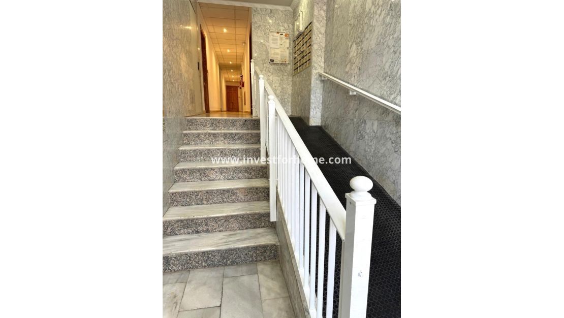 Reventa - Apartamento - Torrevieja - Centro